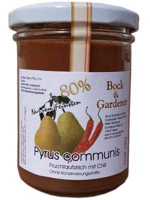 Poduktbild Pyrus communis