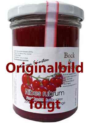 Bild Ribes rubrum